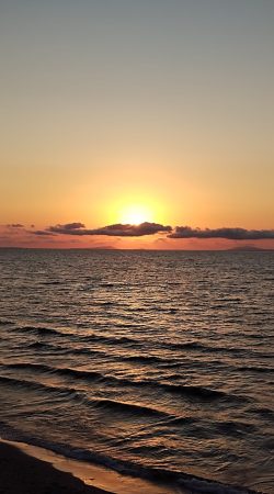 WhatsApp Image 2025-07-22 at 08.46.55