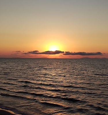 WhatsApp Image 2025-07-22 at 08.46.55